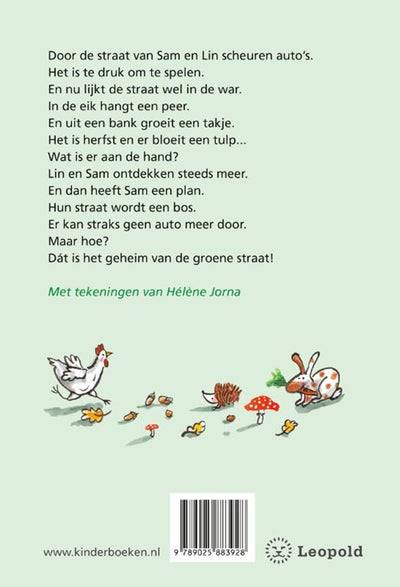 Das Geheimnis der Green Street (AVI-E3)