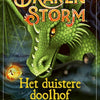 Dragonstorm, das dunkle Labyrinth. 8+