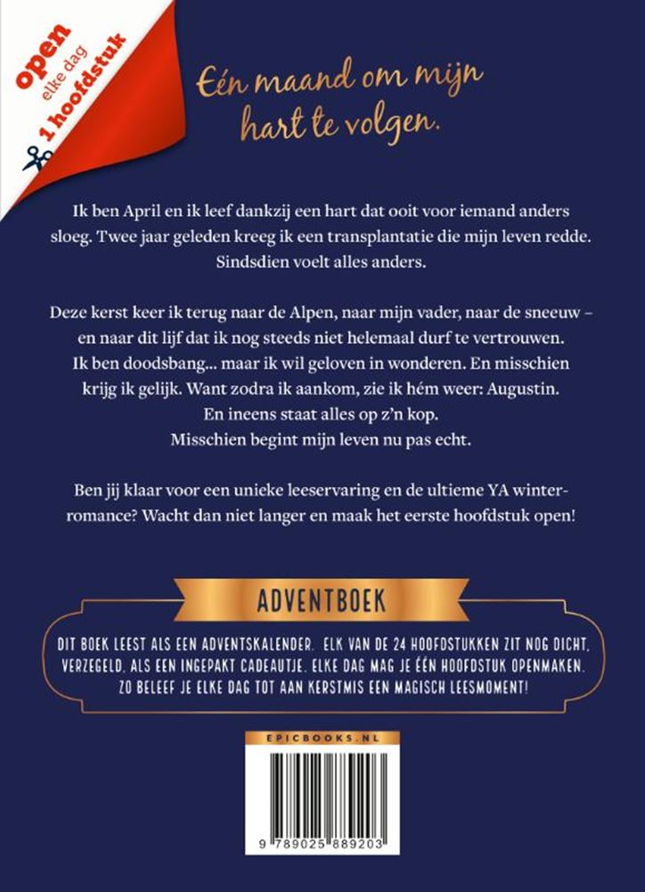 Adventsbuch - ein Herz für Weihnachten. 13+