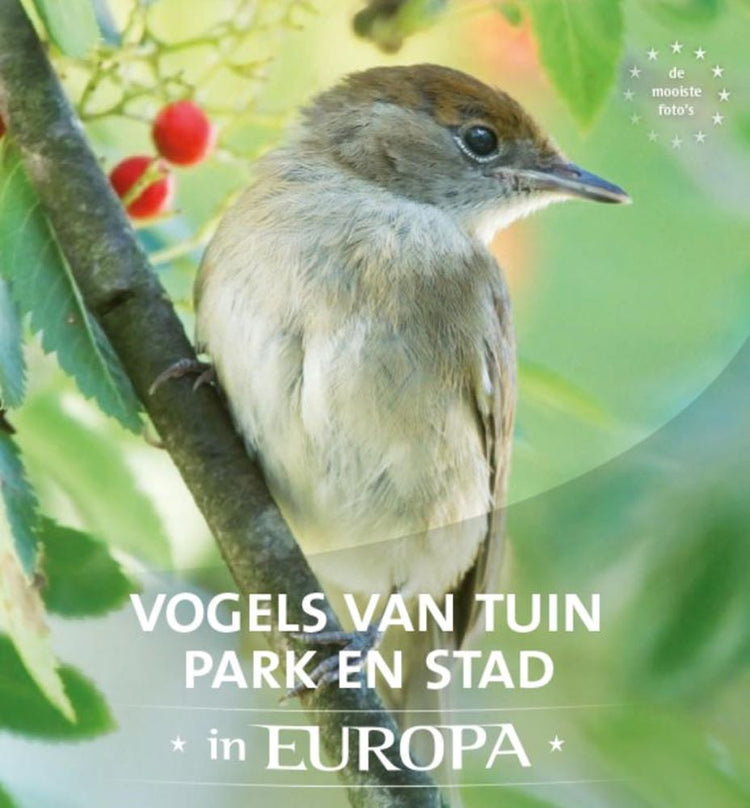 Garten-, Park- und Stadtvögel in Europa