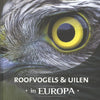 Greifvögel Eulen in Europa Erwachsene