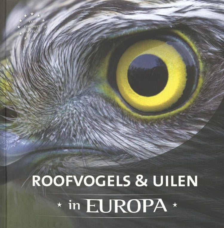 Greifvögel Eulen in Europa Erwachsene