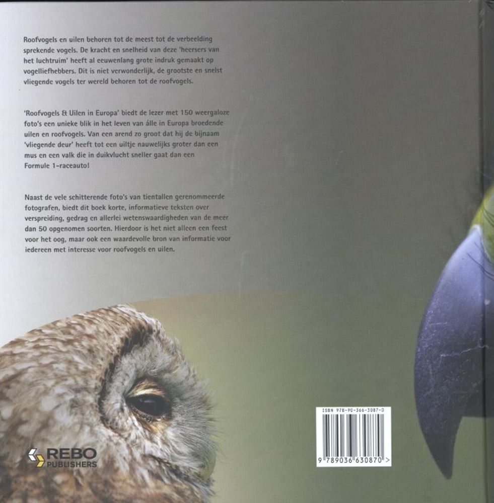 Greifvögel Eulen in Europa Erwachsene