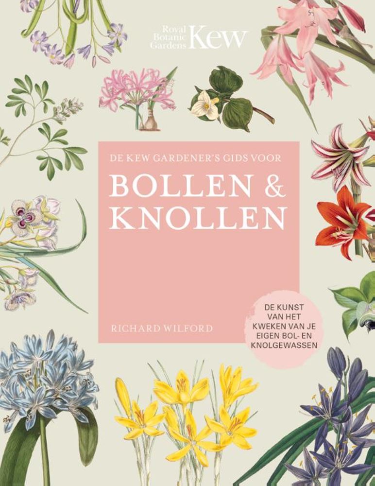 Der Leitfaden für Kew-Gärtner zu Zwiebelknoten