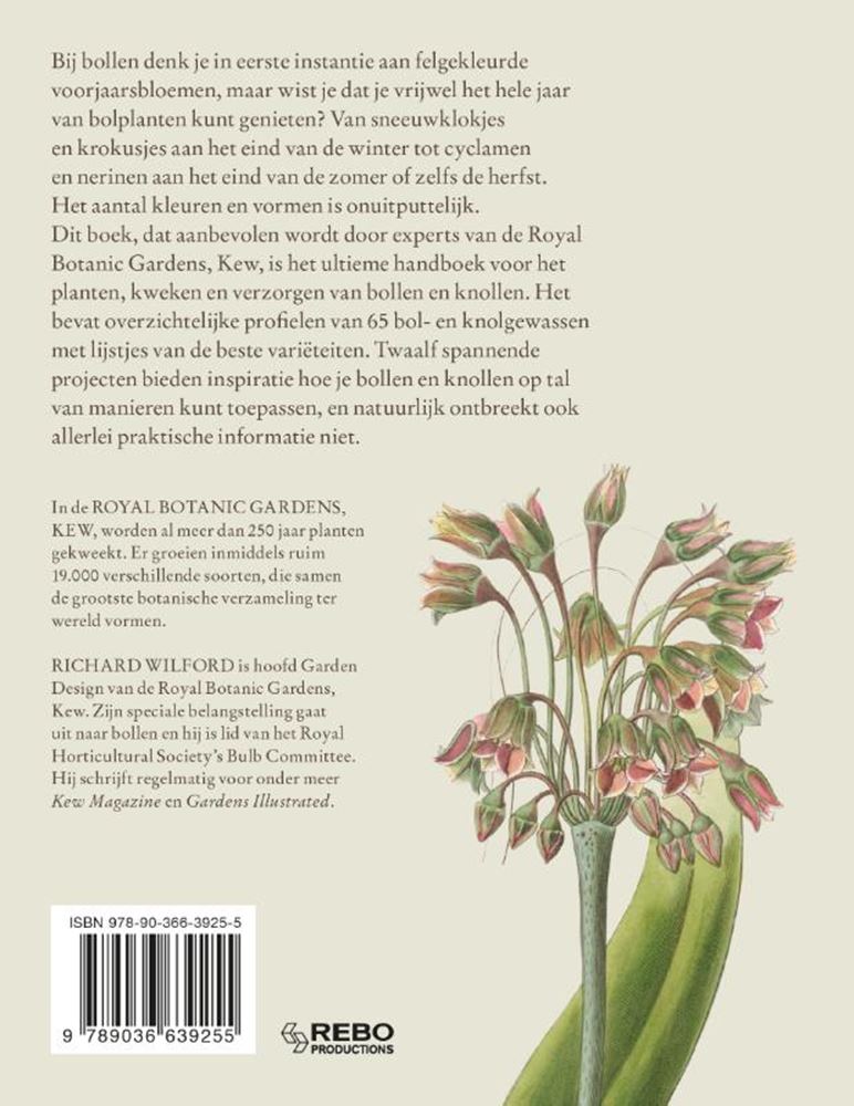 Der Leitfaden für Kew-Gärtner zu Zwiebelknoten