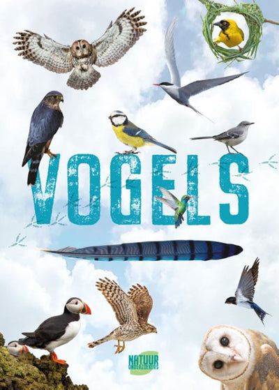 Rebo Publishers Vogels Guide und Natural -Tagebuch für Kinder