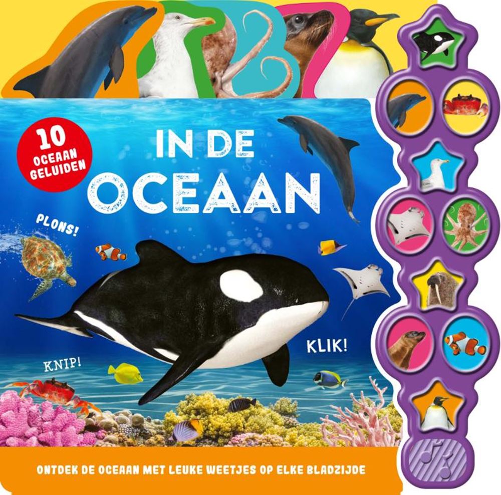 Rebo Publishers Sound Book im Ozean