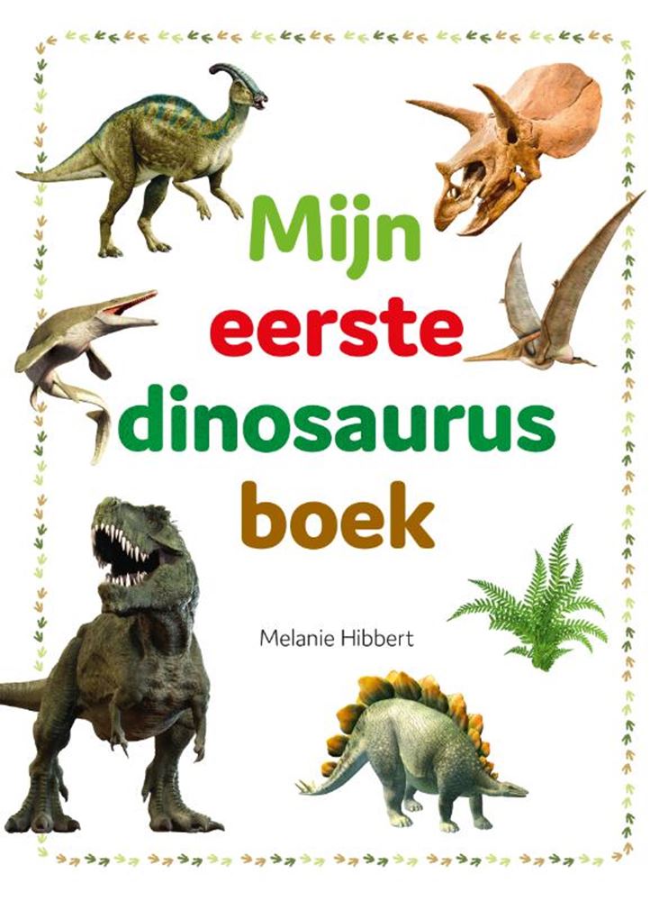 Rebo Publishers mein erstes Dinosaurierbuch neu