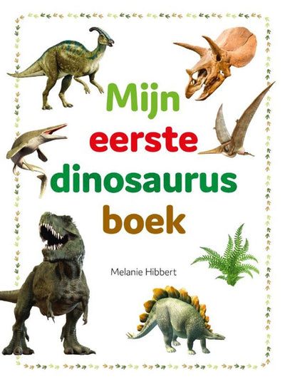 Rebo Publishers mein erstes Dinosaurierbuch neu