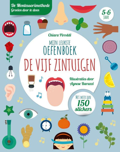 Rebo Publishers Five Sinne Leukste -Übungsbuch REO