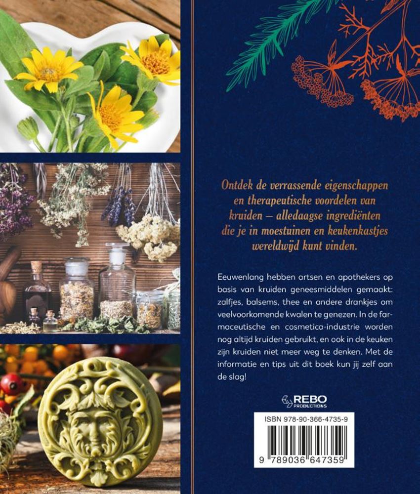 Die Kräuterapotheke für Erwachsene