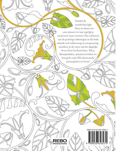 Rebo-Verlag: Wunderbare Natur – Malbuch