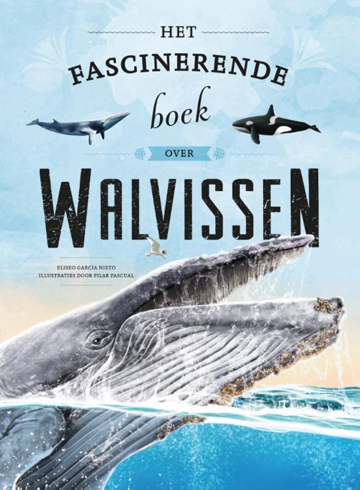 Das faszinierende Buch über Wale ab 6 Jahren