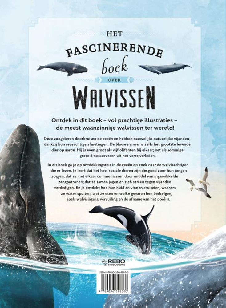 Das faszinierende Buch über Wale ab 6 Jahren