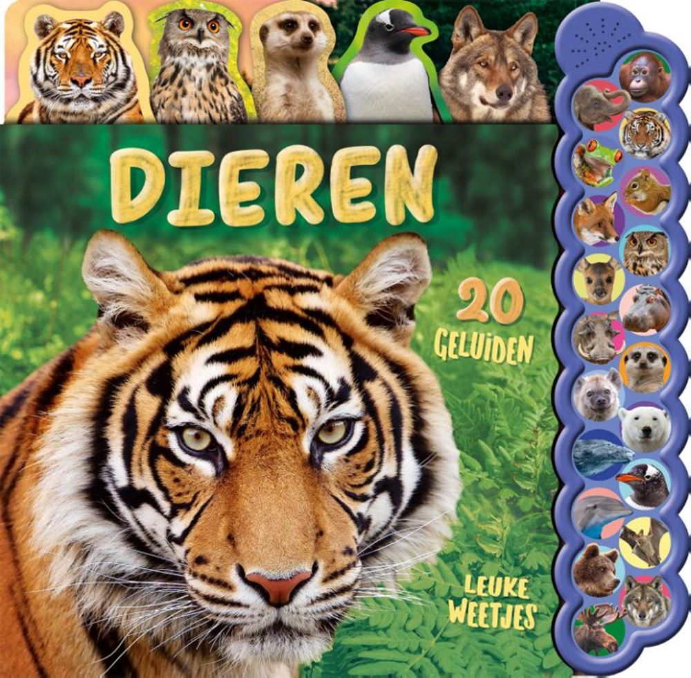 Buch Tiergeräusche Buch