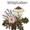 Kompakter Ratgeber: Wildpflücken. (pb)