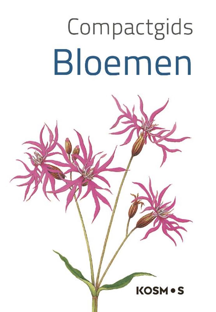 Kompaktratgeber: Blumen (pb)
