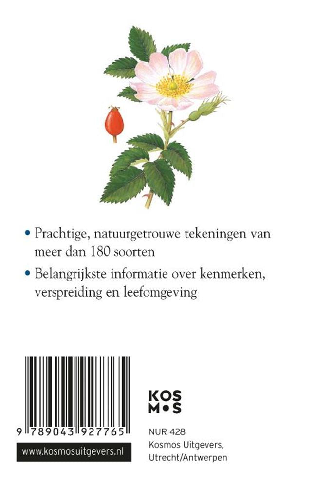Kompaktratgeber: Blumen (pb)