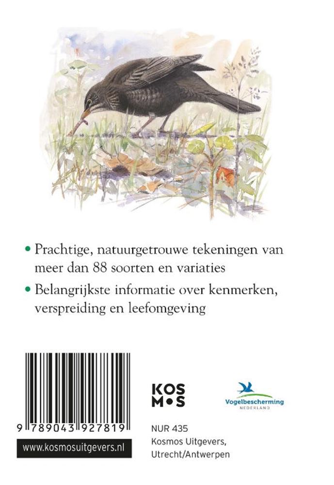Compact guide: garden birds (pb)