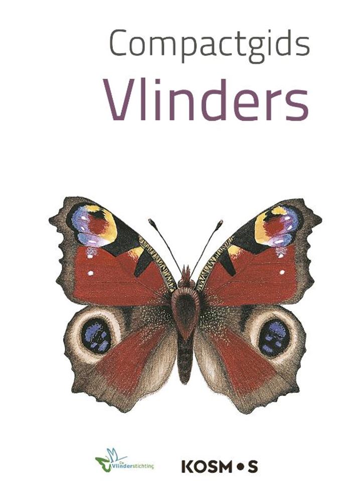 Kompaktführer: Schmetterlinge (pb)
