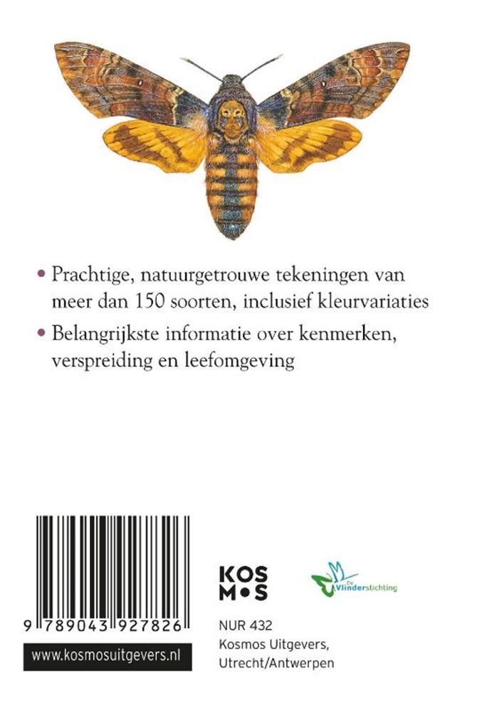 Kompaktführer: Schmetterlinge (pb)