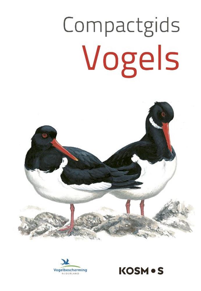 Kompaktführer: Vögel (pb)