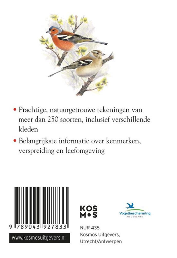 Kompaktführer: Vögel (pb)