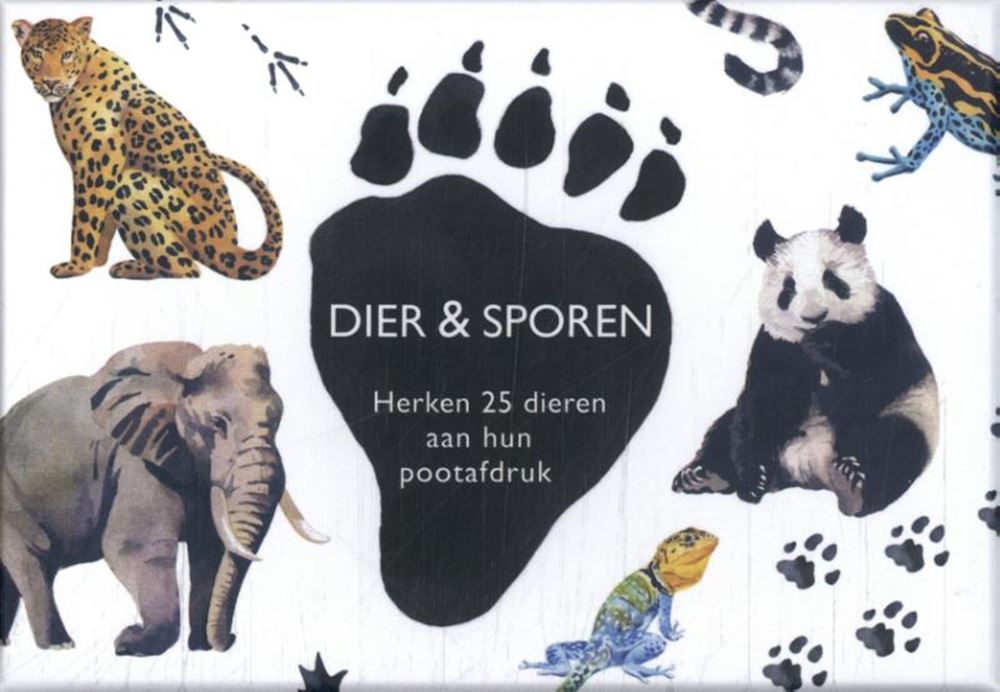Marcel George hat die Sporen verloren, um ihm zu helfen
