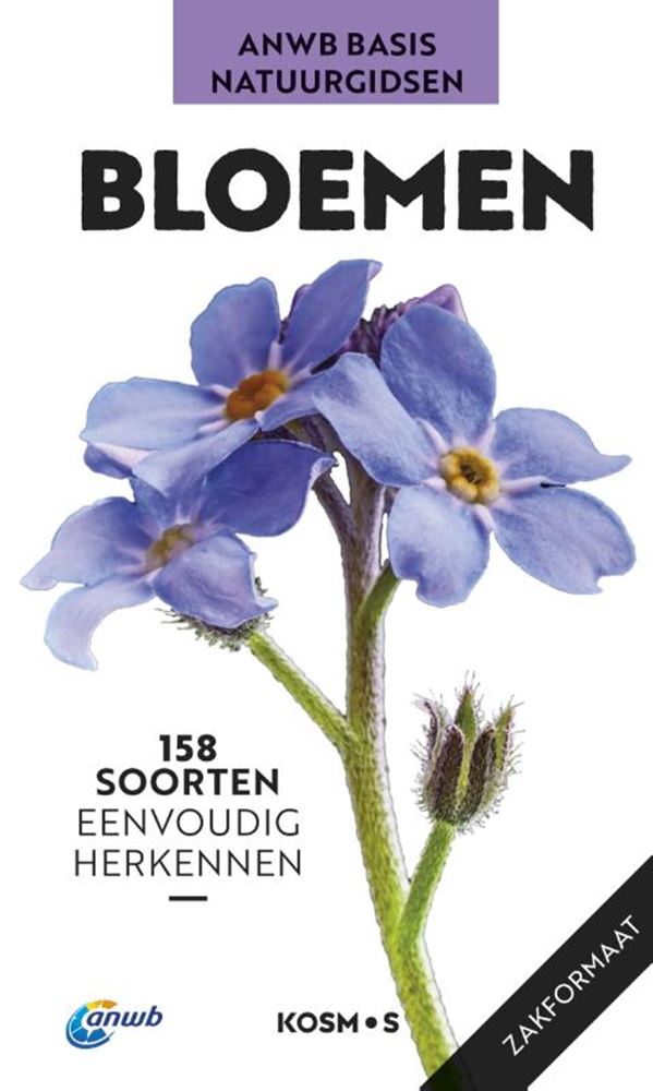 ANWB grundlegender Naturführer: Blumen.