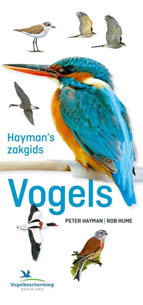 Haymans Taschenführer zu Vögeln für Erwachsene