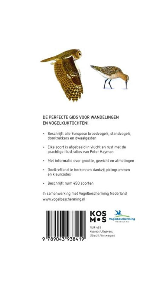 Haymans Taschenführer zu Vögeln für Erwachsene