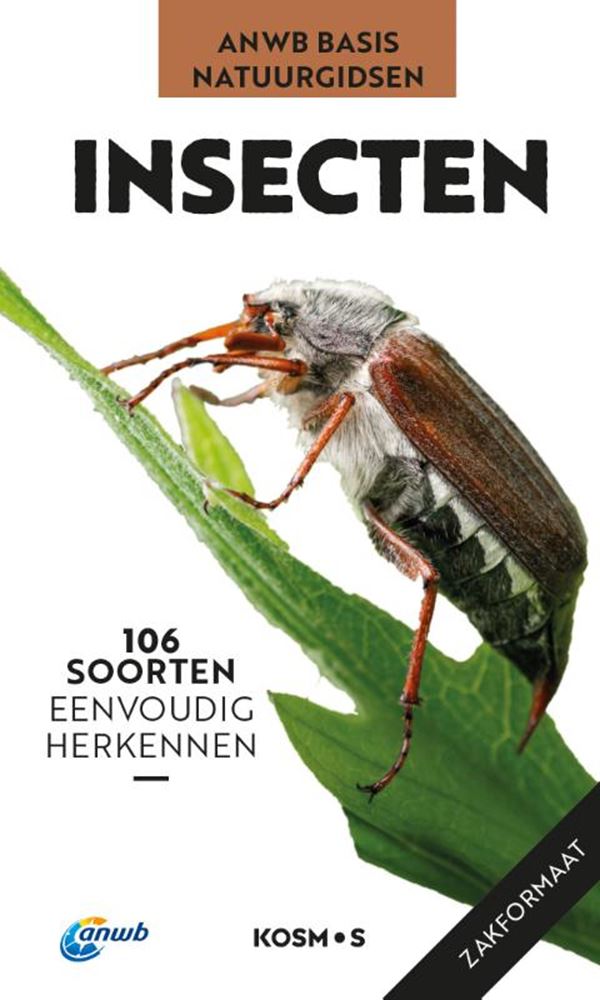 Anwb grundlegender Naturführer – Insekten