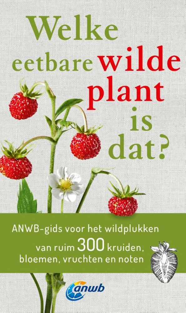Welche essbare Wildpflanze ist das?