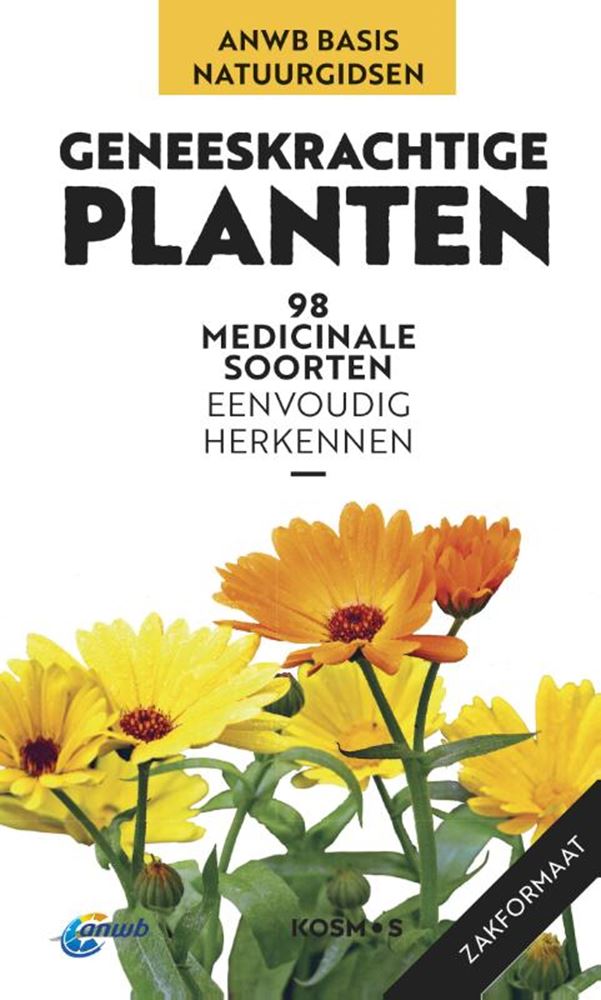 Heilpflanzen. 98 medizinische s