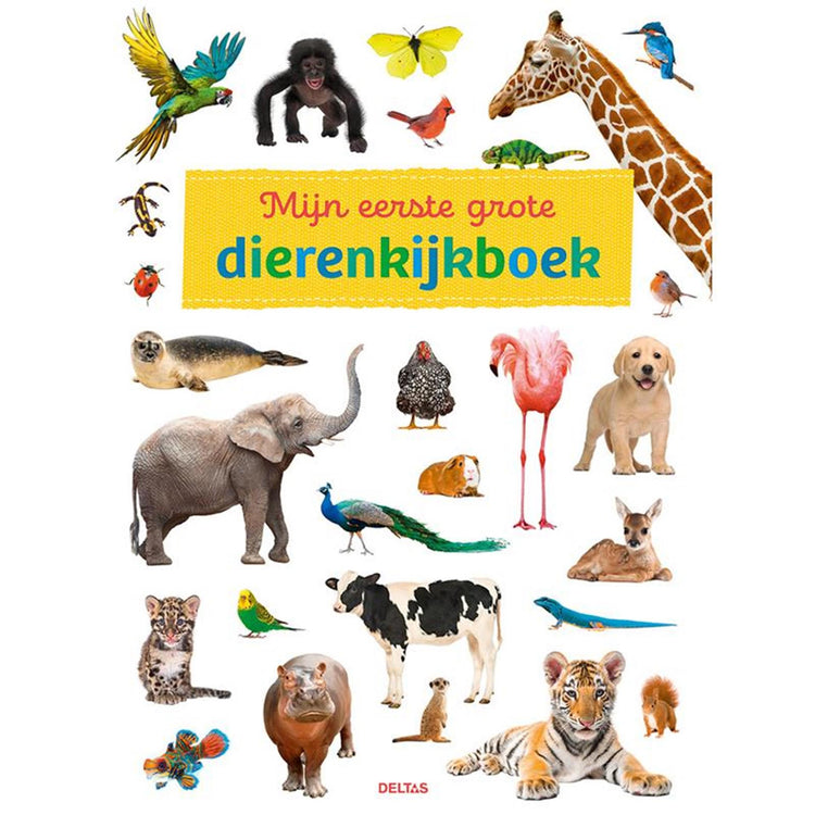 Deltas mein erstes großes Animal -Betrachtungsbuch