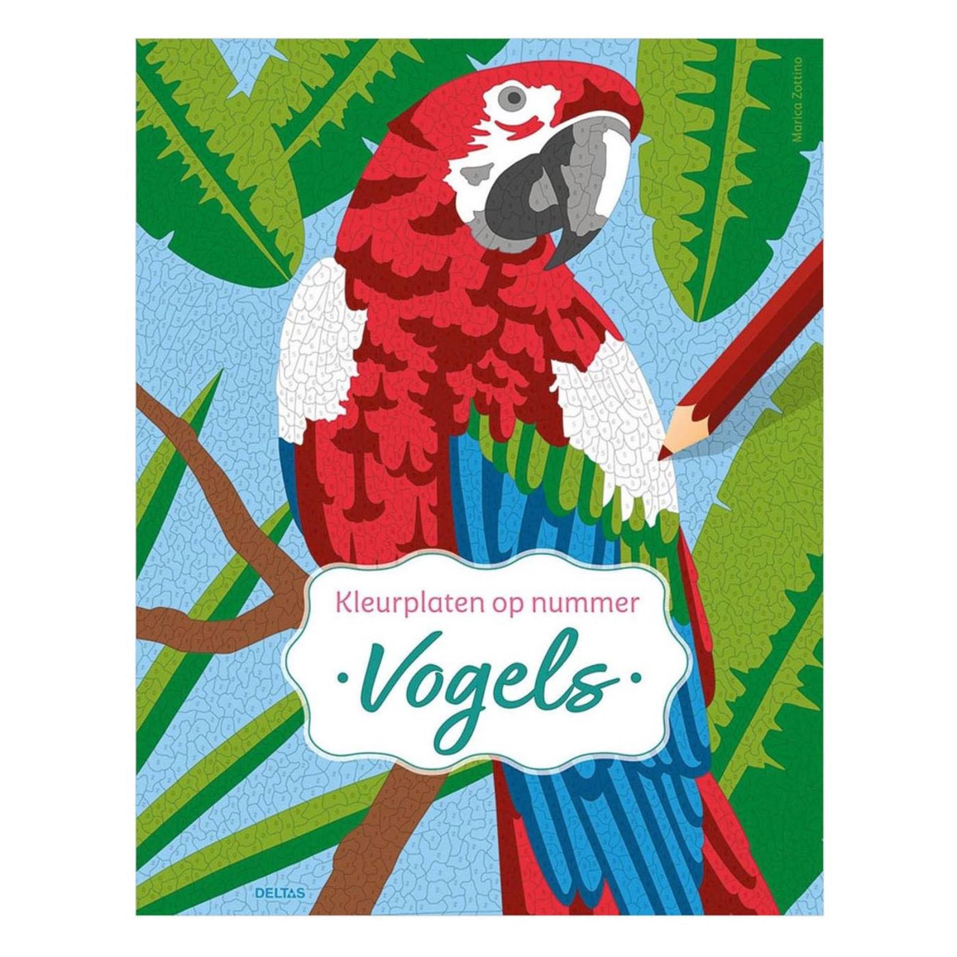 Deltas-Vögel - Malvorlagen nach Nummer
