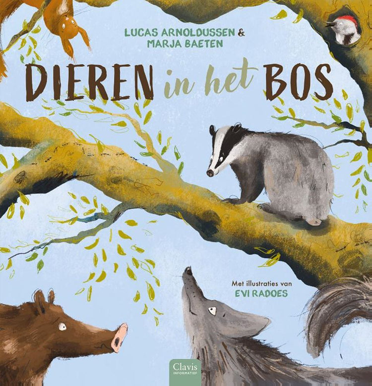 Bilderbuch: Tiere im Wald. 7+