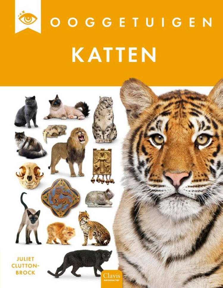 Augenzeugen: Katzen. 8+