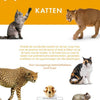Augenzeugen: Katzen. 8+