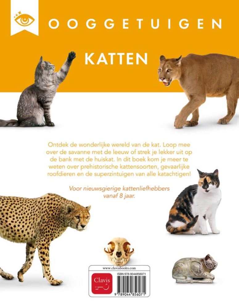 Augenzeugen: Katzen. 8+