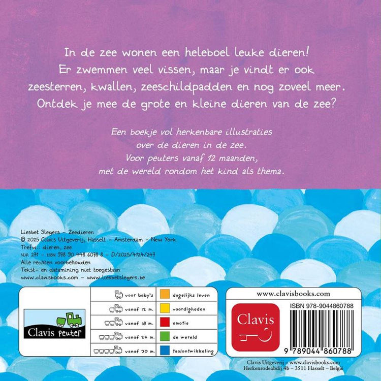Pappbuch: Meerestiere 1+