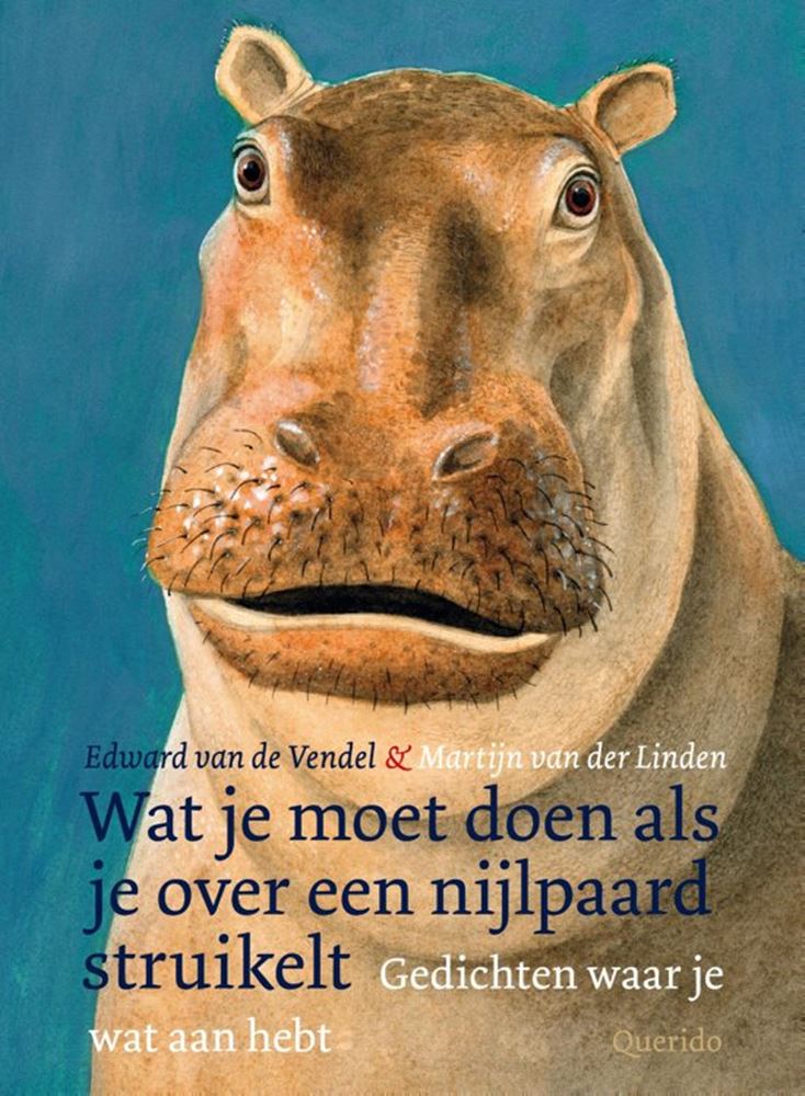 Was tun, wenn Sie auf ein Nilpferd stoßen?