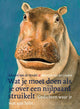 Was tun, wenn Sie auf ein Nilpferd stoßen?