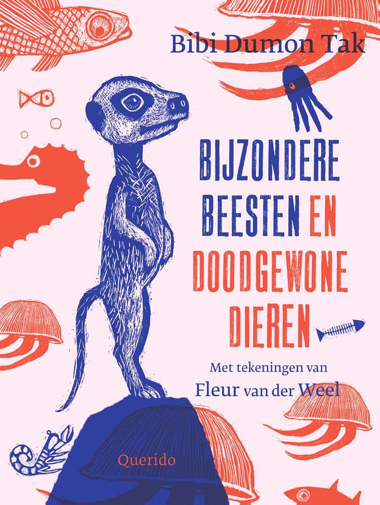 Besondere Tiere und gewöhnliche Tiere.
