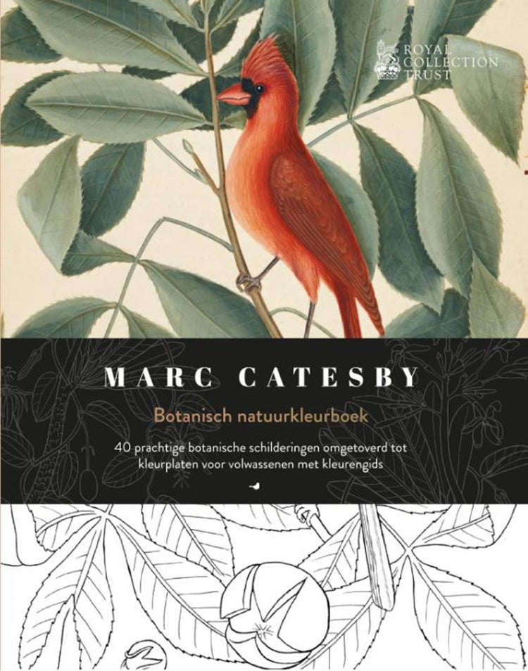 Botanisches Natur-Malbuch.