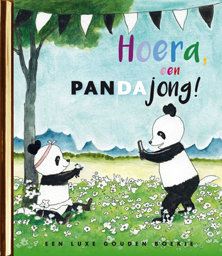 Hurra, Pandababys! 4+