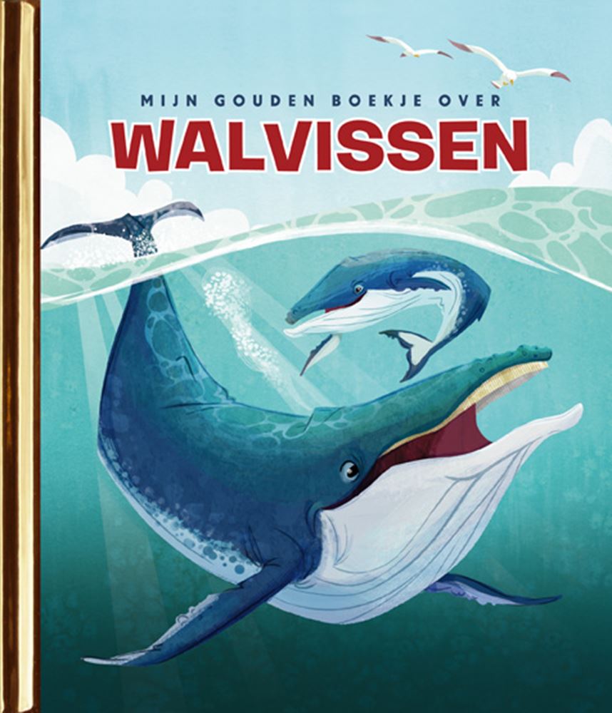 Mein goldenes Buch über Wale 4+