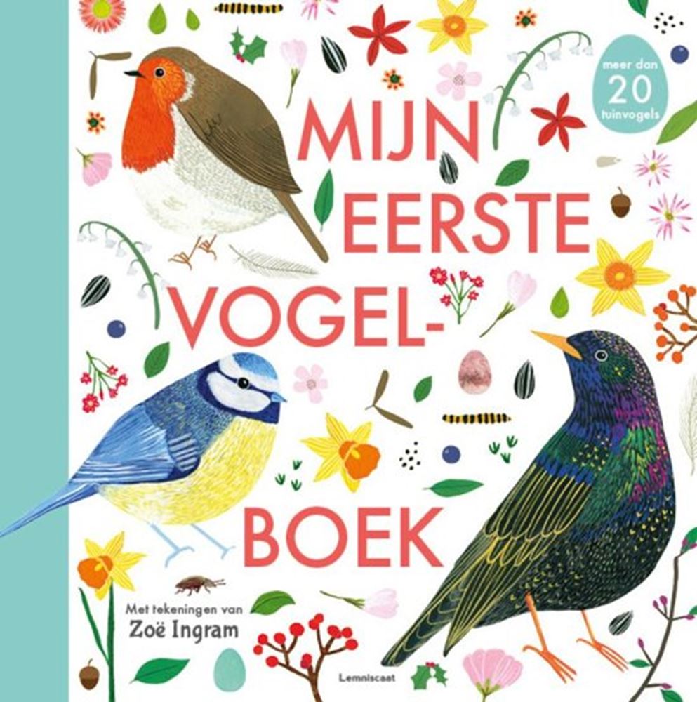 Mein erstes Vogelbuch