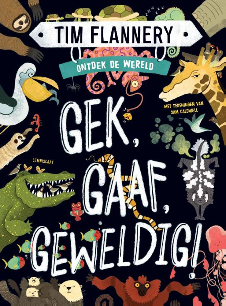 Wahnsinnig cool, großartig. 9+