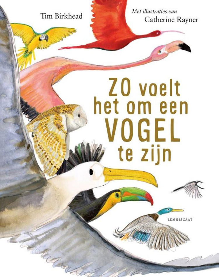 So fühlt es sich an, ein Vogel 9+ zu sein